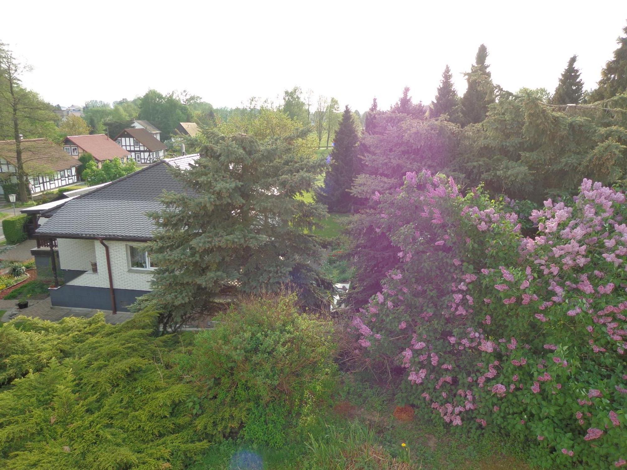 Pension Sonnenhügel Markersdorf Exterior foto