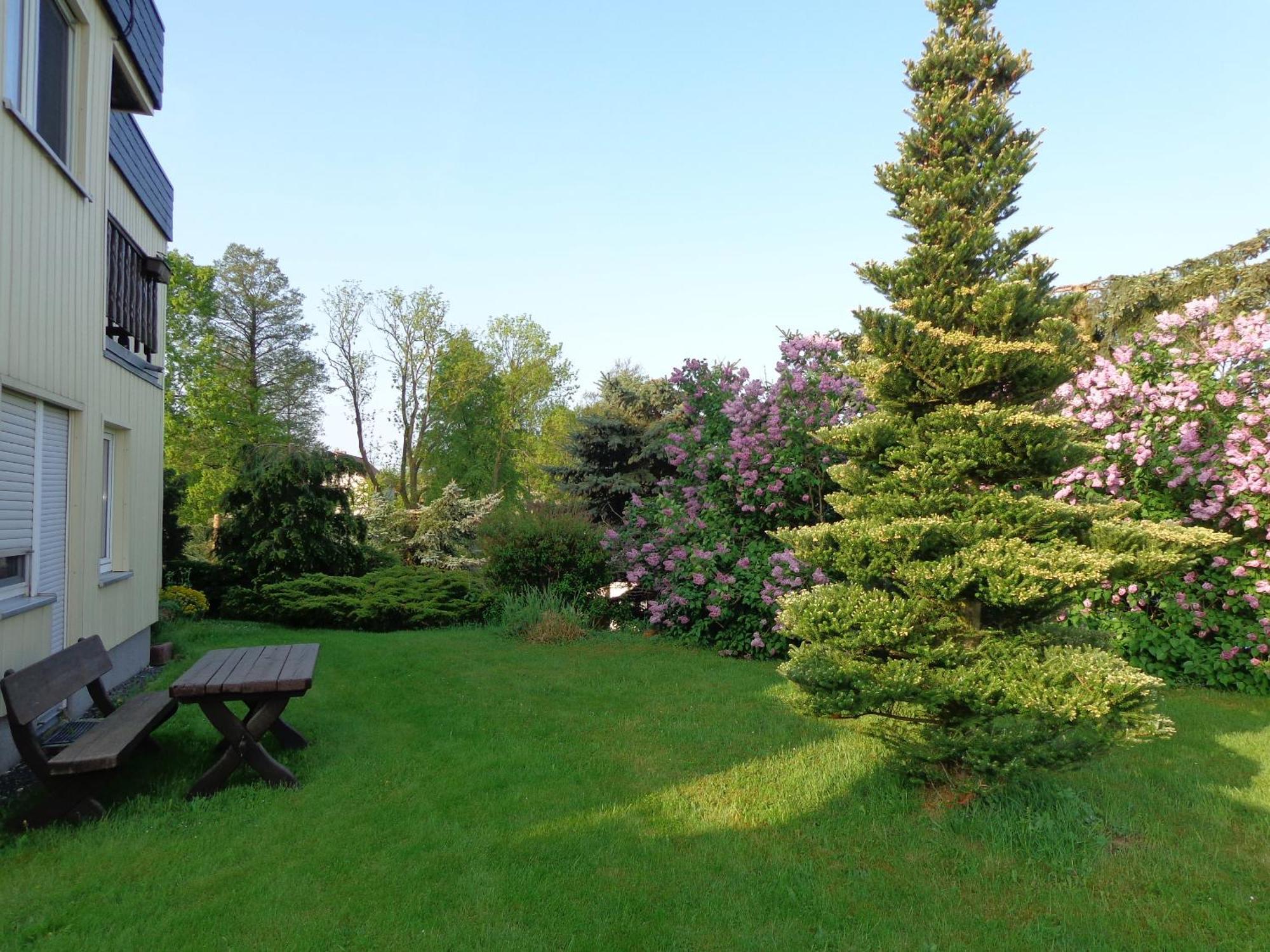 Pension Sonnenhügel Markersdorf Exterior foto